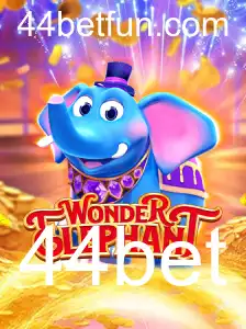 Descubra o Fascinante Mundo de WonderElephant